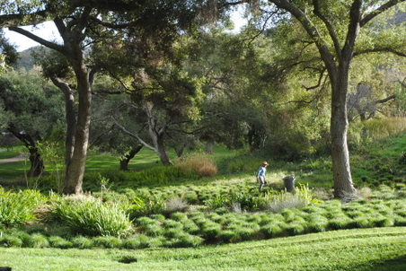 Enlarge photo 49