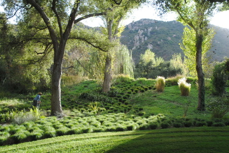 Enlarge photo 51