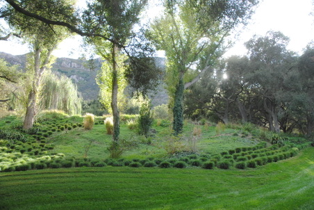 Enlarge photo 53