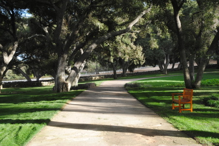 Enlarge photo 52