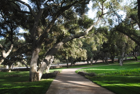 Enlarge photo 55
