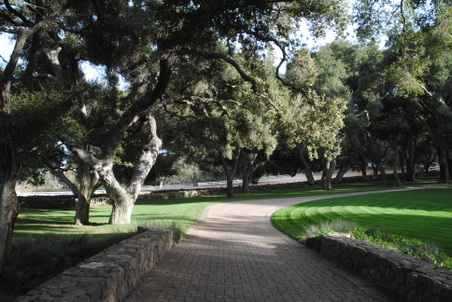 Enlarge photo 56