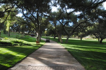 Enlarge photo 57