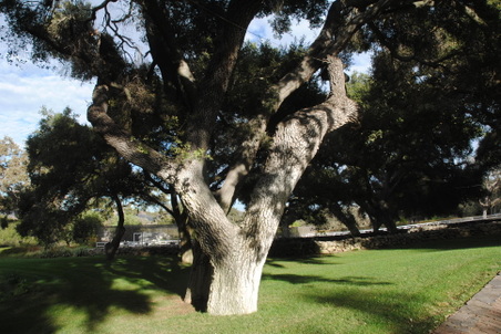 Enlarge photo 59