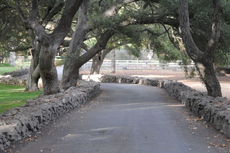 Enlarge photo 72