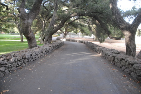 Enlarge photo 83
