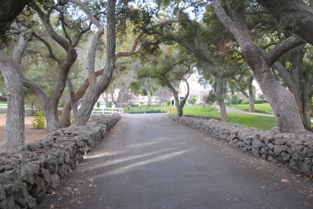 Enlarge photo 79