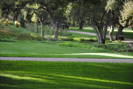 Enlarge photo 80