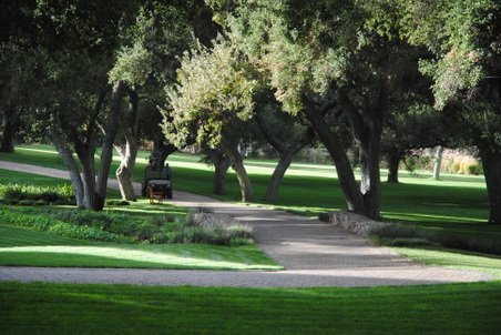 Enlarge photo 81