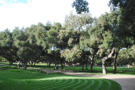 Enlarge photo 84