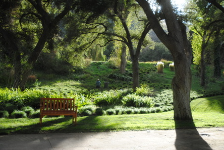 Enlarge photo 88