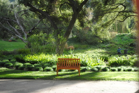 Enlarge photo 89
