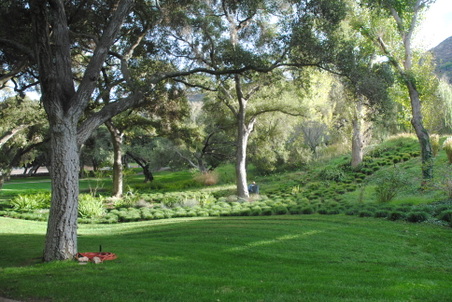 Enlarge photo 90