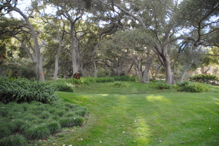 Enlarge photo 92