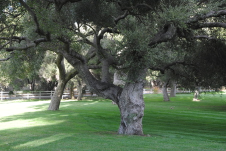 Enlarge photo 93
