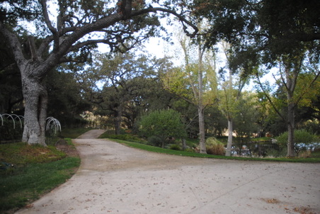 Enlarge photo 94