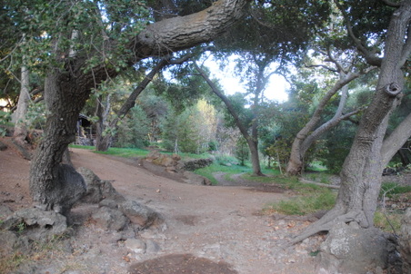 Enlarge photo 33