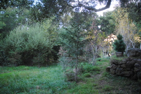 Enlarge photo 44