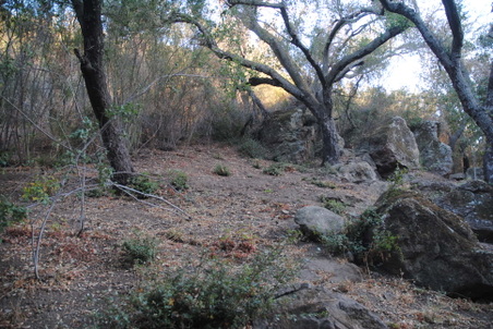 Enlarge photo 80