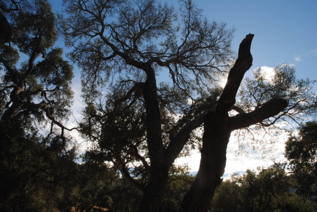 Enlarge photo 4