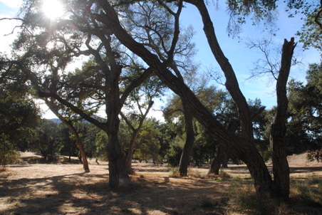 Enlarge photo 10