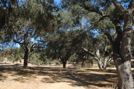 Enlarge photo 11