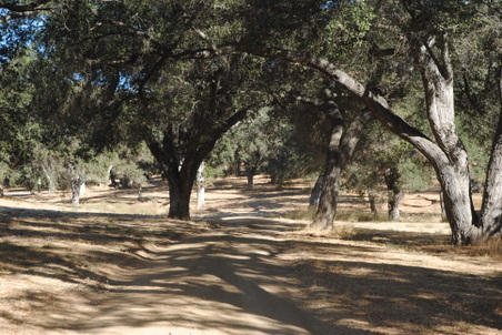 Enlarge photo 12