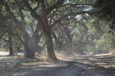 Enlarge photo 13