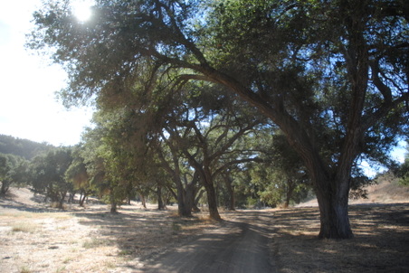 Enlarge photo 14