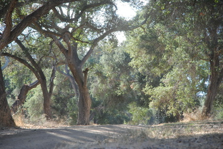Enlarge photo 16