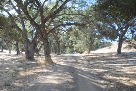 Enlarge photo 15