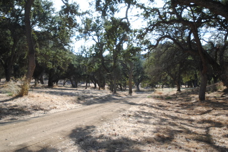Enlarge photo 17