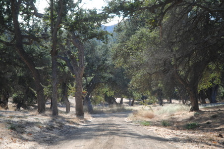 Enlarge photo 18