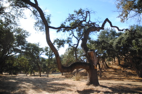 Enlarge photo 19
