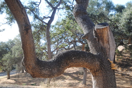 Enlarge photo 20
