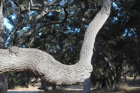 Enlarge photo 23