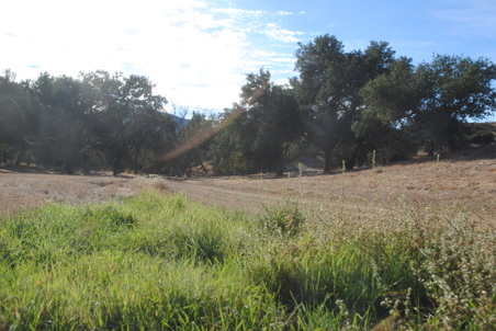 Enlarge photo 25