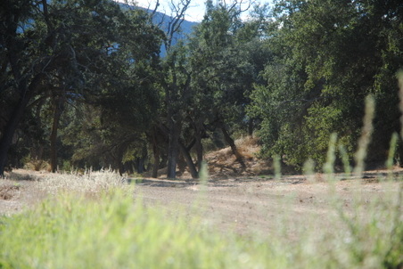 Enlarge photo 26
