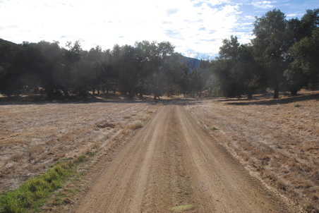 Enlarge photo 27