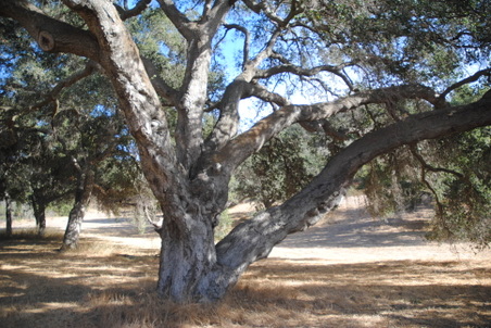 Enlarge photo 28