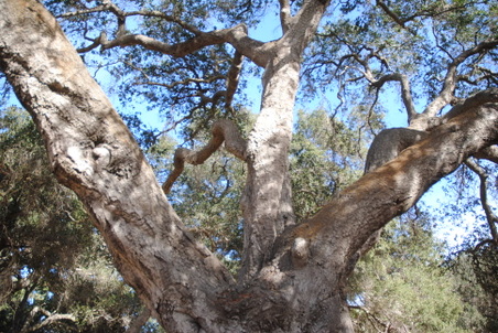 Enlarge photo 29