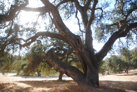 Enlarge photo 32