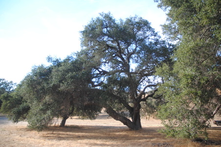 Enlarge photo 33