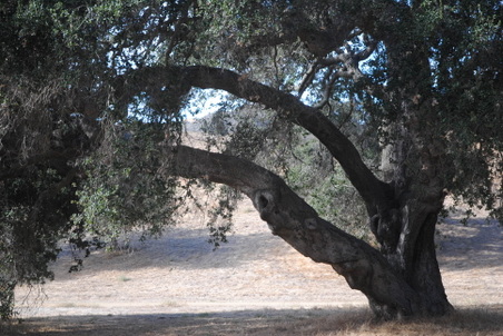 Enlarge photo 34