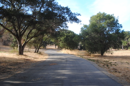 Enlarge photo 35