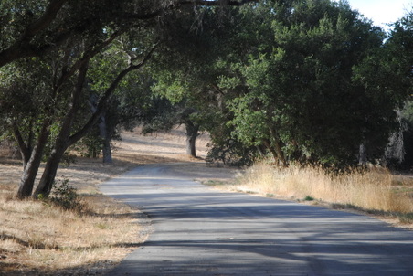 Enlarge photo 36
