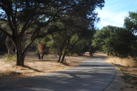 Enlarge photo 37