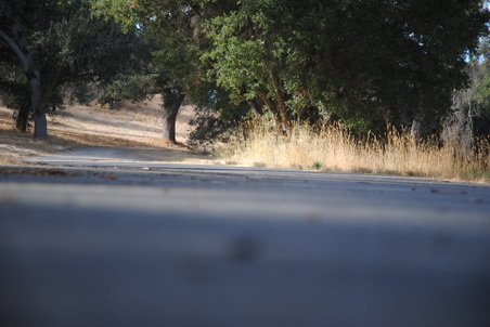 Enlarge photo 38