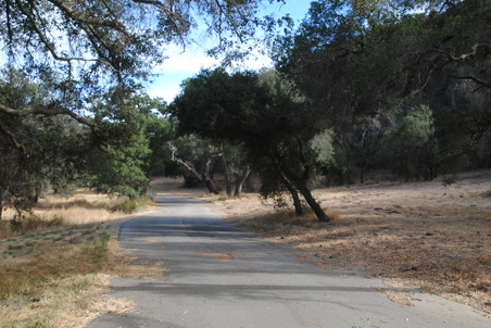 Enlarge photo 39