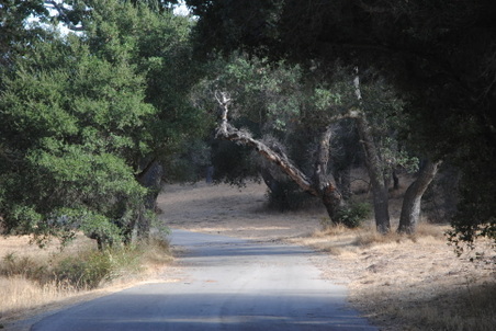 Enlarge photo 41